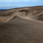 P.N. de la dunas de Sigatoka