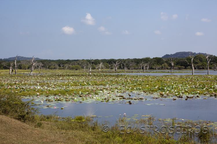 Parque Nacional Yala