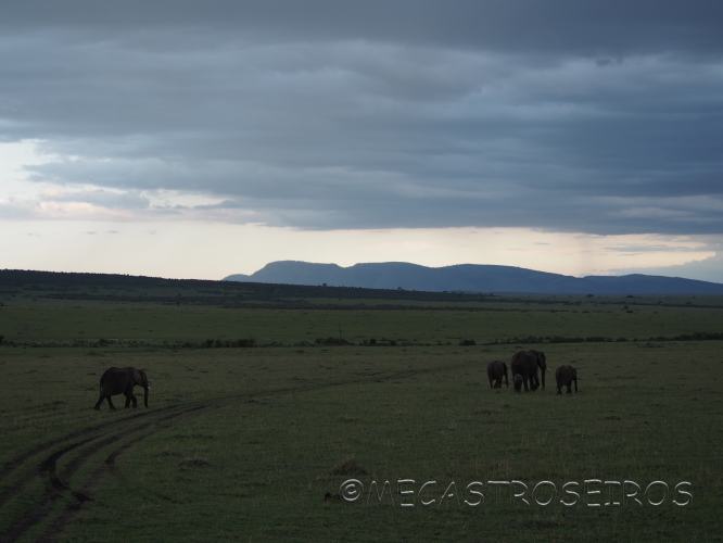 Lemek, Rift Valley Province, Kenya